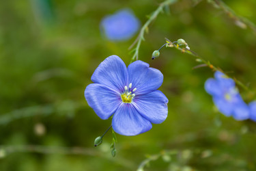 Similar image 21120810