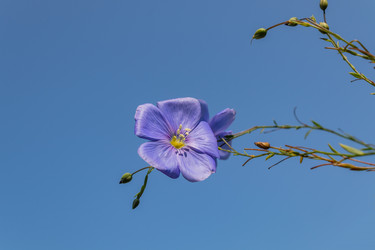 Similar image 21120811