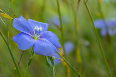 Similar image 21120812