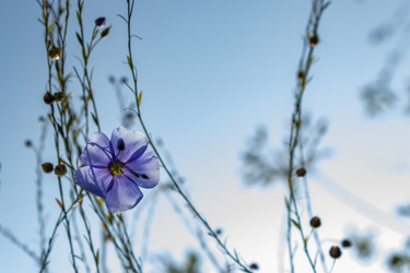 Similar image 21120813