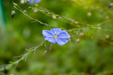 Similar image 21120814