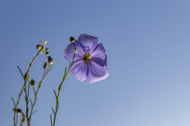 Similar image 21120815