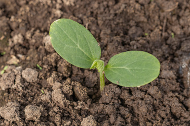 Similar image 21120816