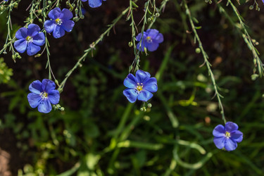 Similar image 21120822