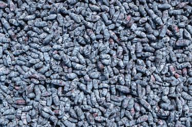 Similar image 21120824