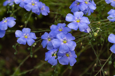 Similar image 21121138