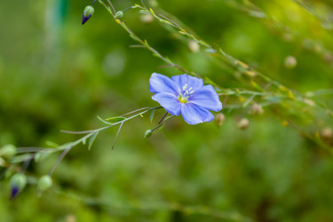 Similar image 21120825