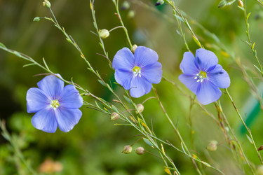 Similar image 21120827