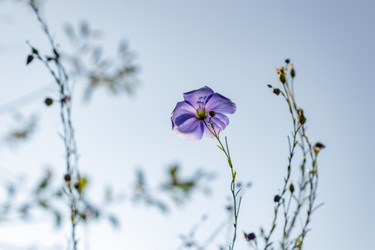 Similar image 21120828