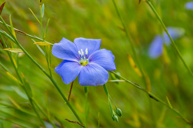 Similar image 21120829