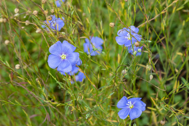 Similar image 21120831