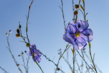 Similar image 21120832