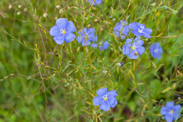 Similar image 21120833