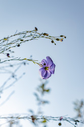 Similar image 21120834