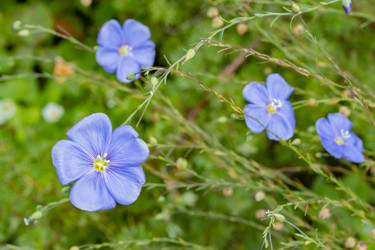 Similar image 21120835