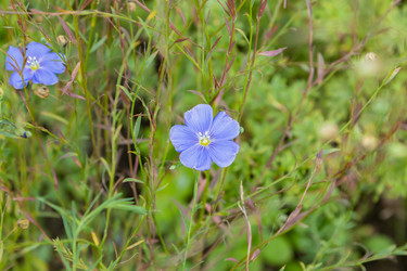 Similar image 21120836