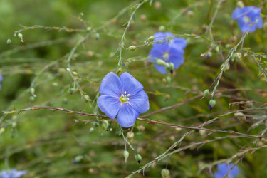 Similar image 21120837