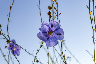 Similar image 21120838