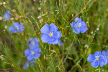 Similar image 21120839