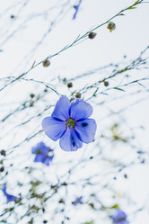 Similar image 21120841