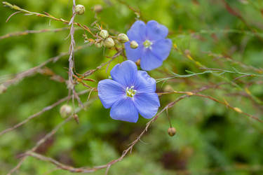 Similar image 21120842