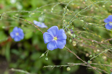 Similar image 21120843