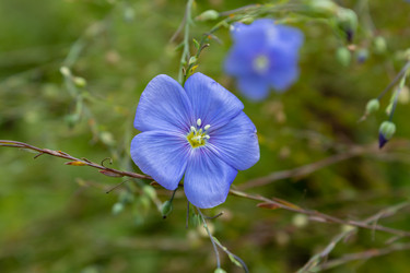 Similar image 21120844