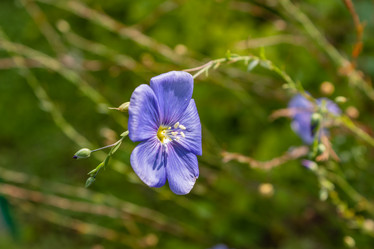 Similar image 21120845