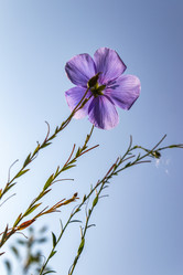 Similar image 21120846