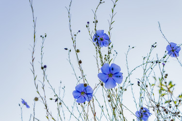 Similar image 21120847