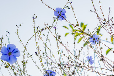 Similar image 21121140