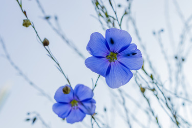 Similar image 21121141