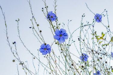 Similar image 21121142