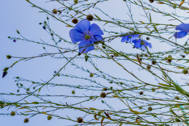 Similar image 21121143