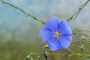 Similar image 21121144