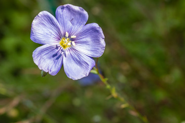 Similar image 21121145