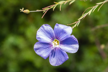 Similar image 21121146