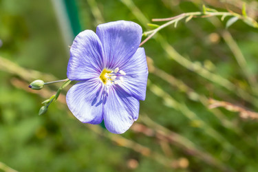 Similar image 21121147