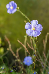 Similar image 21121148