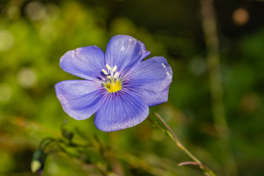 Similar image 21121149