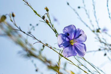 Similar image 21121150