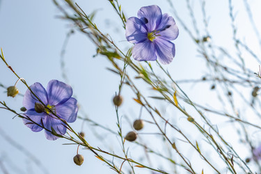 Similar image 21121151