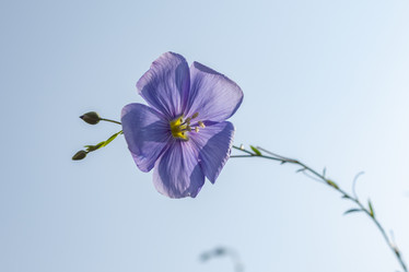 Similar image 21121152