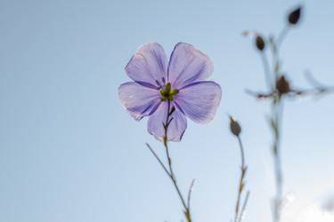 Similar image 21121153