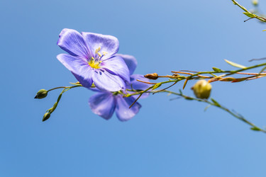 Similar image 21121154