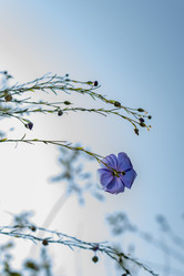 Similar image 21121155