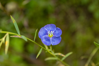 Similar image 21121156