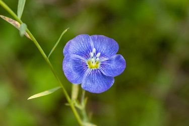 Similar image 21121157