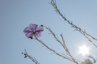 Similar image 21121158