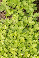 Similar image 21121159